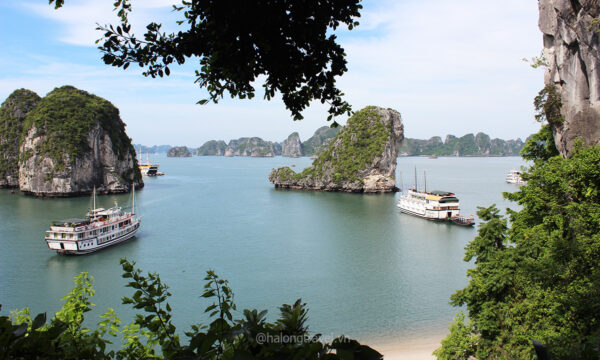 Vinh-halong-2