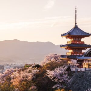 Sunset,at,kiyomizu-dera,temple,and,cherry,blossom,season,(sakura),on