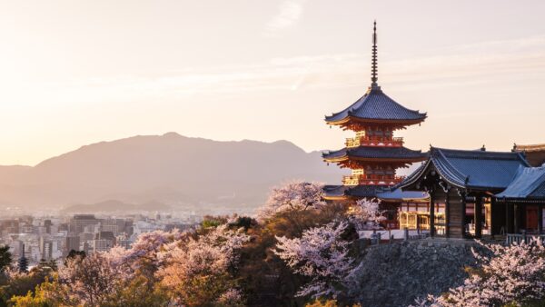 Sunset,at,kiyomizu-dera,temple,and,cherry,blossom,season,(sakura),on