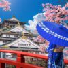 Asian,woman,wearing,japanese,traditional,kimono,looking,at,cherry,blossoms