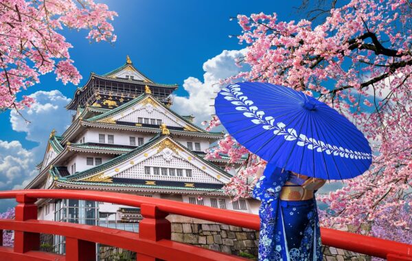 Asian,woman,wearing,japanese,traditional,kimono,looking,at,cherry,blossoms